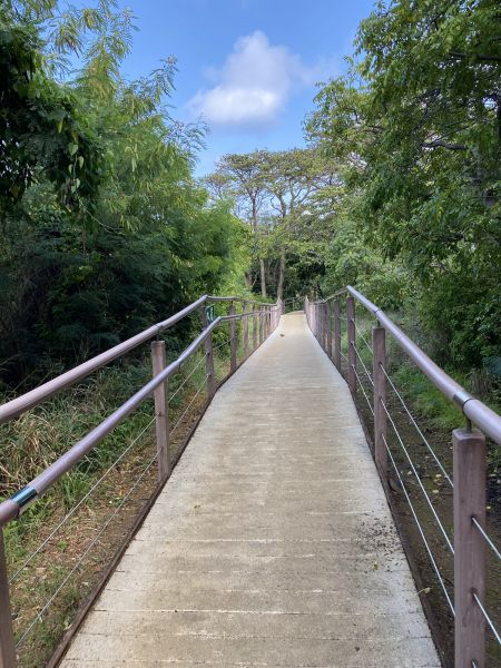 Footpath Construction in O Fallon
